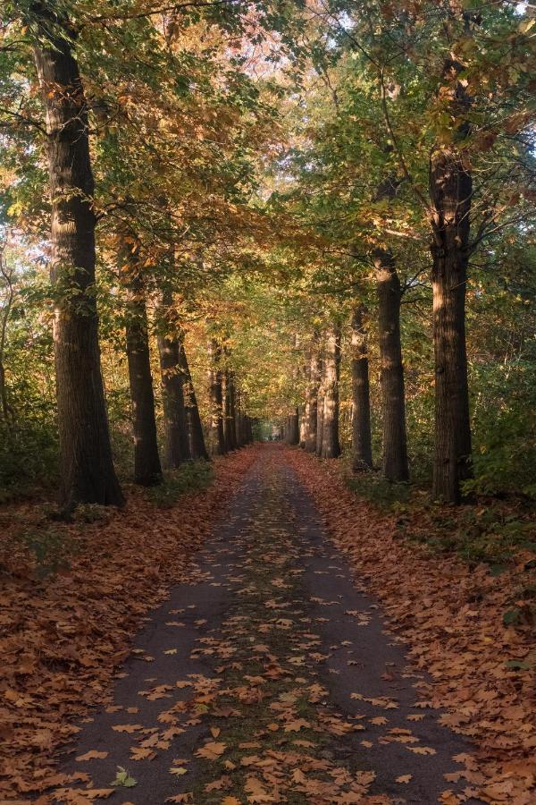 Villa Parkbos De Pinte 외부 사진